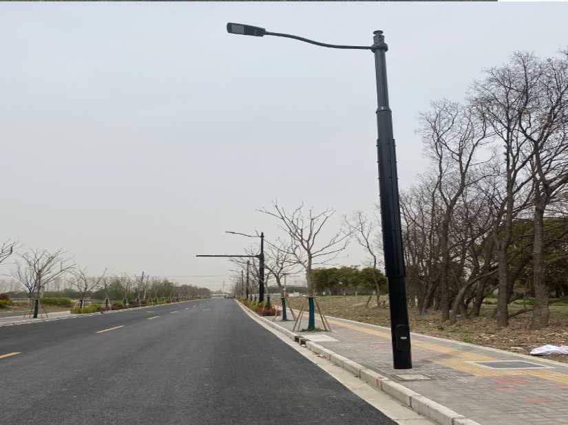 长白朝鲜族自治县上海综合杆 太阳能路灯工程